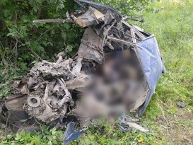 Семья из троих человек подорвалась, предположительно, на мине у Северского Донца – МЧС