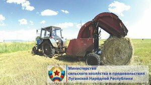 Аграрии ЛНР заготовили почти 97% грубых кормов для сельхозживотных – Минсельхоз