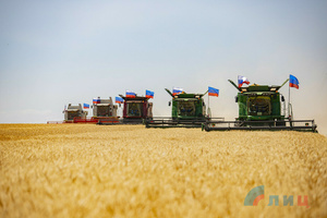 Аграрии трех освобожденных районов завершили уборку озимых зерновых культур – Минсельхоз