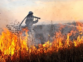 LPR reports more than 2,200 wildfires in 2022