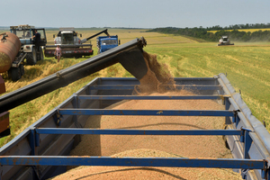 РЭЦ рассказал о мерах поддержки для российских экспортеров зерна