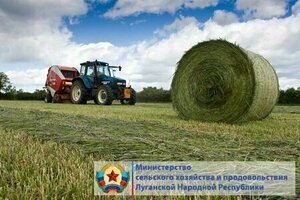 Аграрии ЛНР заготовили почти 90% грубых кормов для сельхозживотных – Минсельхоз