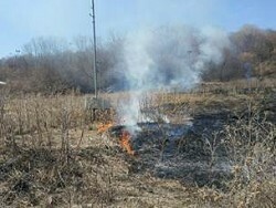 Мать и дочь спасли от огня фруктовый сад в Лутугинском районе – МЧС ЛНР