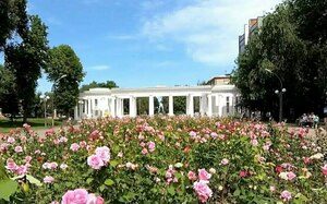 Жители ЛНР разработали девять дизайн-проектов ботанического сада в Луганске