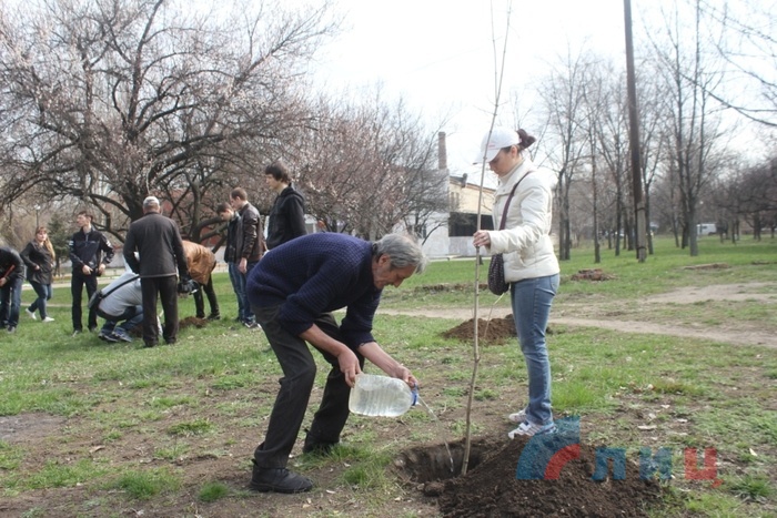 Высадка деревьев в парке им. Щорса в память о детях, погибших в результате украинской агрессии, Луганск, 8 апреля 2016 года