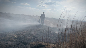 Более полутора тыс. природных пожаров произошло в ЛНР с начала марта – МЧС