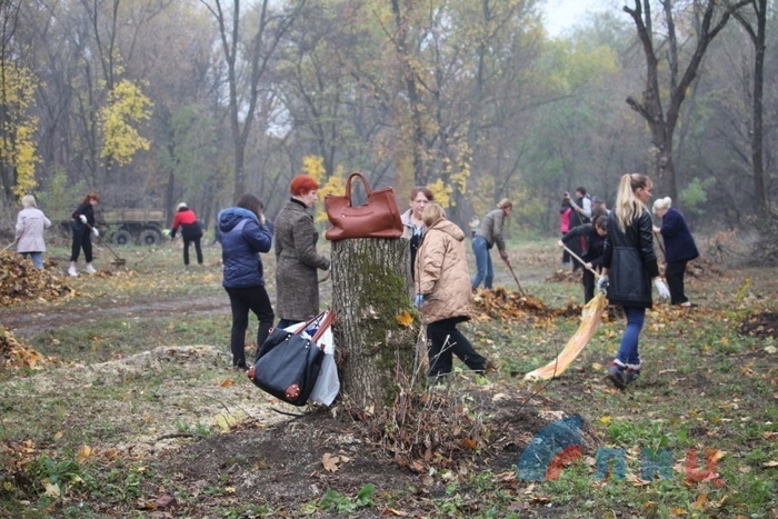 Субботник в парке имени Горького, Луганск, 20 октября 2017 года