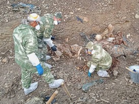 Спецгруппа за время работы под Краснодоном извлекла из захоронения останки 36 жертв ВСУ
