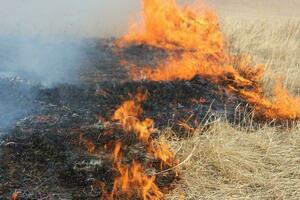 Emergencies Ministry units extinguish more than 5,300 fires in LPR this year