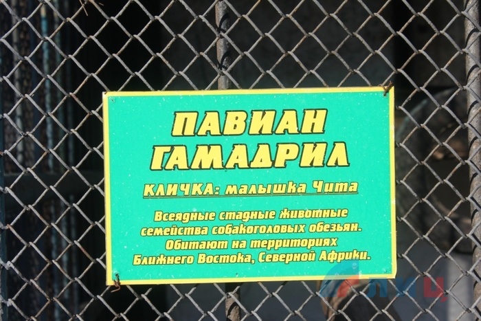 Зоопарк Луганского ГКП "Парк им. 1 Мая", 29 марта 2016 года