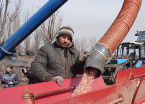 Путин поблагодарил российских аграриев за впечатляющие результаты работы