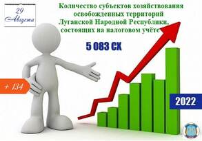 Почти 5,1 тыс. предпринимателей в освобожденных районах стали на налоговый учет в ЛНР – ГКНС