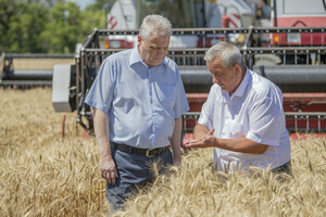 Аграрии планируют собрать ранние зерновые и зернобобовые с площади 115 тыс. га – министр