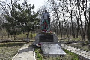 Жители Крепенского в рамках акции "Сад памяти" посадили саженцы сирени у братской могилы