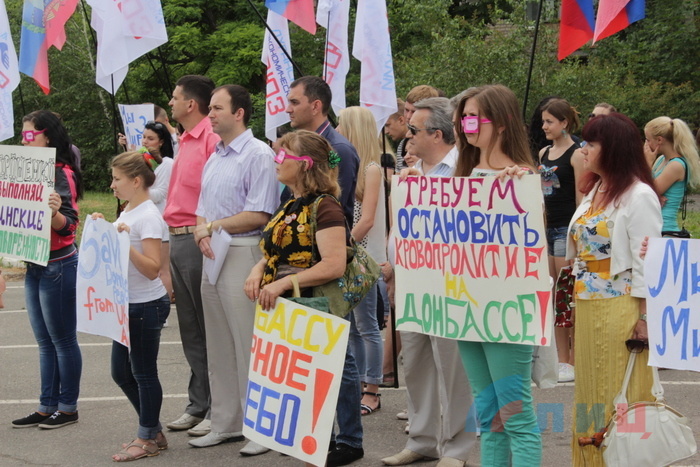 IМолодежь Луганска призвала миссию ОБСЕ "снять розовые очки", Луганск, 20 июня 2015 года
