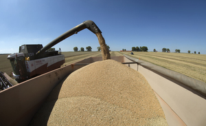 Более 77 тыс. тонн зерна нового урожая вывезено из ЛНР в другие регионы России
