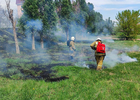 Высокая пожароопасность ожидается в западных и северо-восточных районах ЛНР 25 апреля