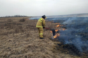 Высокая пожароопасность ожидается в некоторых районах ЛНР 17 апреля