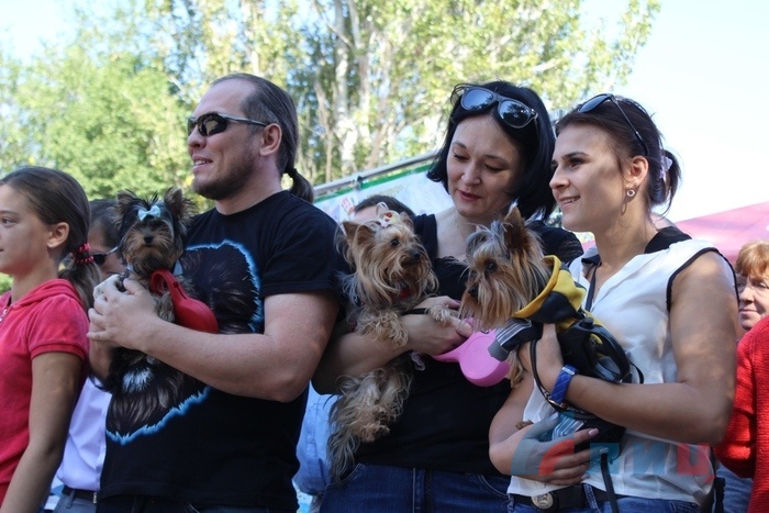 Зоодефиле "Четыре лапы", посвященное Дню города Луганска, Луганск, 9 сентября 2017 года