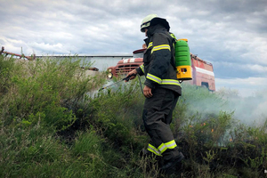 Пожары за двое суток уничтожили более 112 га в природных зонах ЛНР – МЧС