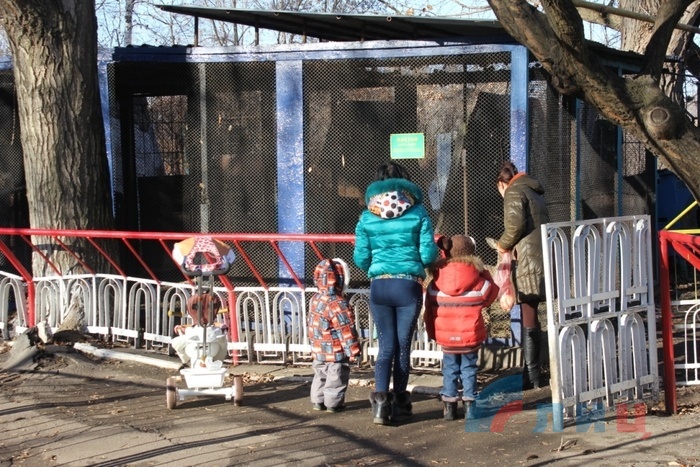 Луганский зоопарк, Луганск, 8 декабря 2015 года