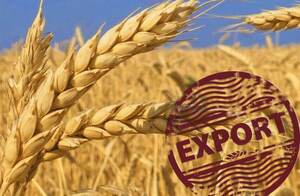 ЛНР с начала года экспортировала 26 тыс. тонн пшеницы - Правительство
