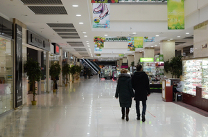 Торговые сети из других регионов открывают магазины в Донбассе и Новороссии – Минпромторг