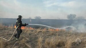 МЧС ЛНР за сутки зафиксировало 37 пожаров на открытых территориях
