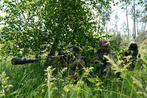 Армия России за сутки пресекла деятельность двух украинских ДРГ в ЛНР