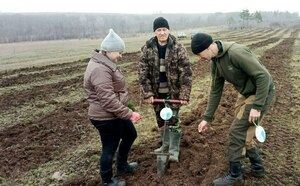 Жители Антрацитовского района высадили 6,6 тыс. сосен в рамках акции "Сад памяти"