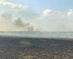 Пожар уничтожил 45 га сухой травы в селах Антрацитовского и Лутугинского районов – МЧС