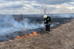 Пожары за сутки уничтожили более 60 га сухой травы в ЛНР – МЧС