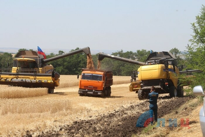 Праздник, посвященный началу уборки урожая, Лутугинский район, 27 июня 2019 года