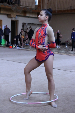 Чемпионат ЛНР по художественной гимнастике, Луганск, 23 апреля 2017 года