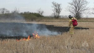 Пожары на открытых территориях за выходные уничтожили в ЛНР более 11 га сухостоя - МЧС