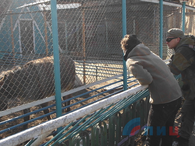 Певица Чичерина привезла ветпрепараты питомцам луганского зоопарка, 8 марта 2015 года