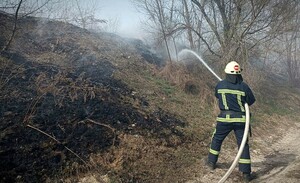 Сухотравные пожары за сутки уничтожили в ЛНР шесть хозпостроек, гараж и нежилой дом – МЧС