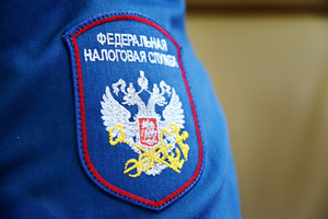 ФНС зарегистрировала 23 тыс. самозанятых в Донбассе и Новороссии