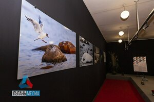 Выставка "Импрессия "От Дуная до Чукотки" открылась в Новоайдаре в рамках "Наших традиций"