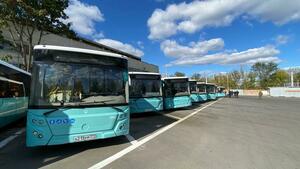 Более 100 новых автобусов работают на маршрутах в ЛНР