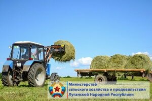 Агропредприятия ЛНР реализовали подсобным хозяйствам 65% сена от потребности – Минсельхоз