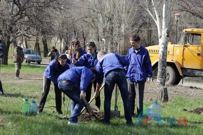 Кленовую аллею высадили в Луганске в память о погибших детях