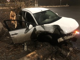 Пьяный водитель и пассажир попали в больницу в результате ДТП в Перевальске - МВД