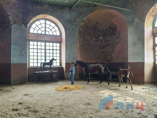 Limarevka horse-breeding farm in Belovodsk district, March 31, 2022