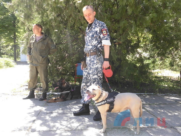 Открытая выставка собак в Луганске, 23 мая 2015 года