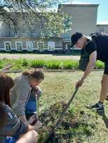 Экологи и школьники посадили в Червонопартизанске деревья в память о молодогвардейцах