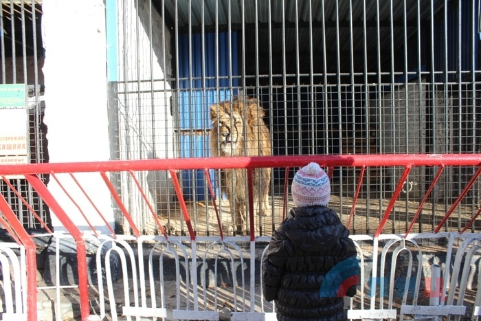 Луганский зоопарк, Луганск, 8 декабря 2015 года