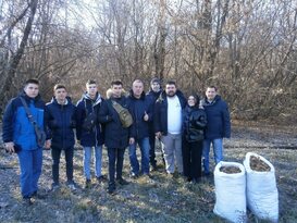 Сотрудники Минприроды и активисты собрали 20 кг семян ясеня для восстановления лесов ЛНР