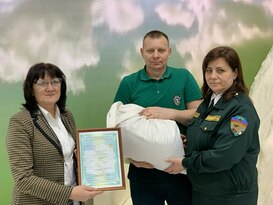 Управление лесами Белгородской области передало ЛНР 20 кг семян сосны
