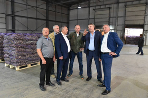 "Единая Россия" отправила жителям ЛНР три тысячи тонн картофеля из Брянской области